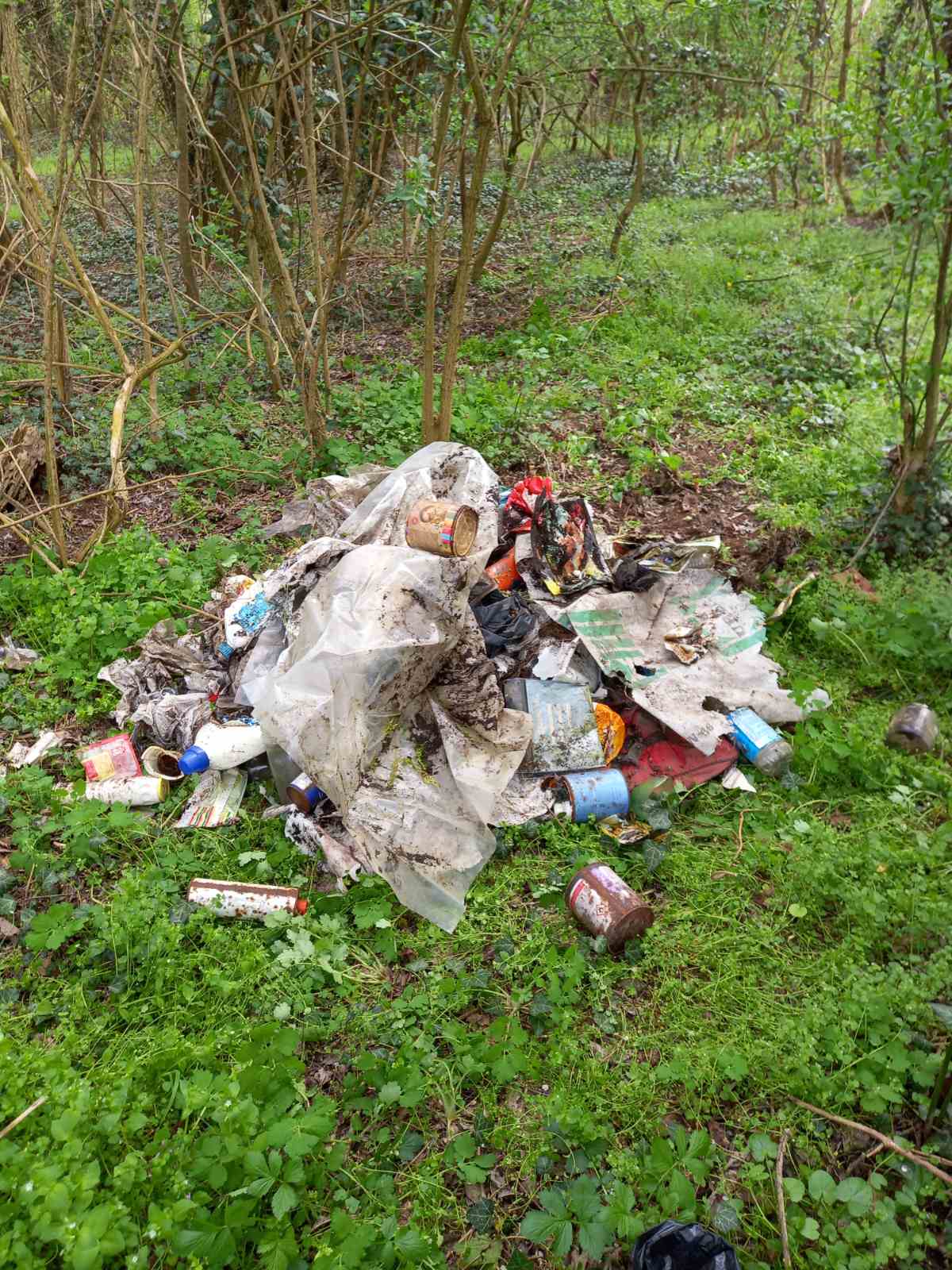 foto/Aakcija čišćenja (12)