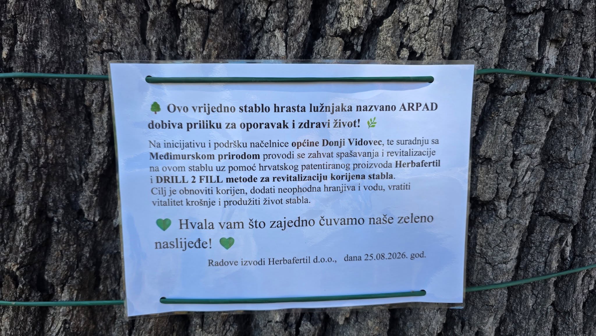 foto/luznjak (7)